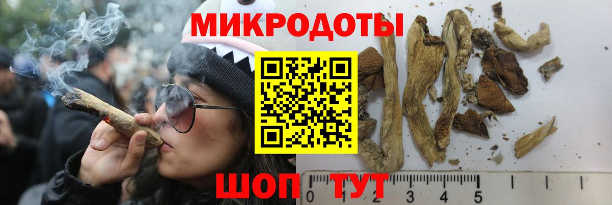 Углич  Галлюциногенные грибы Magic Shrooms  Вход с VPN 